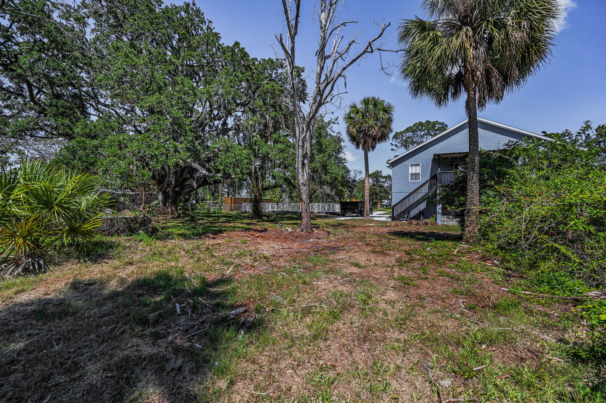 Backyard4