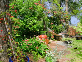  Photo 32