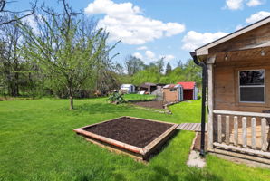  Photo 46