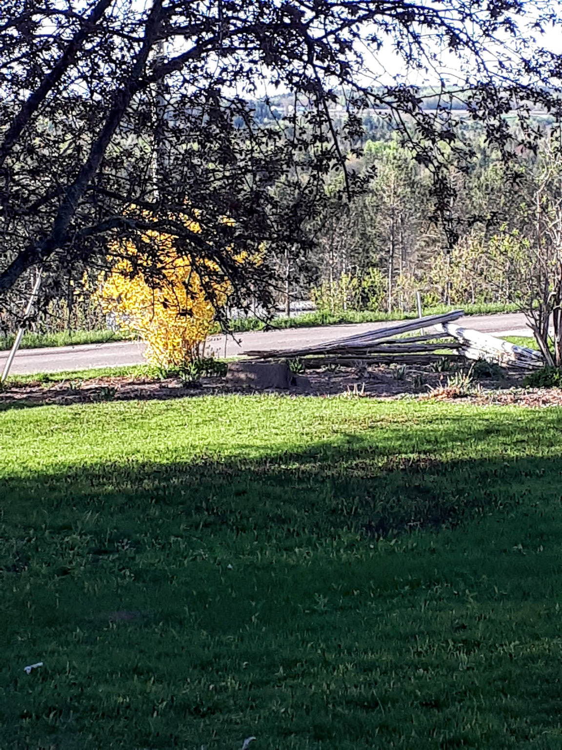  Photo 31
