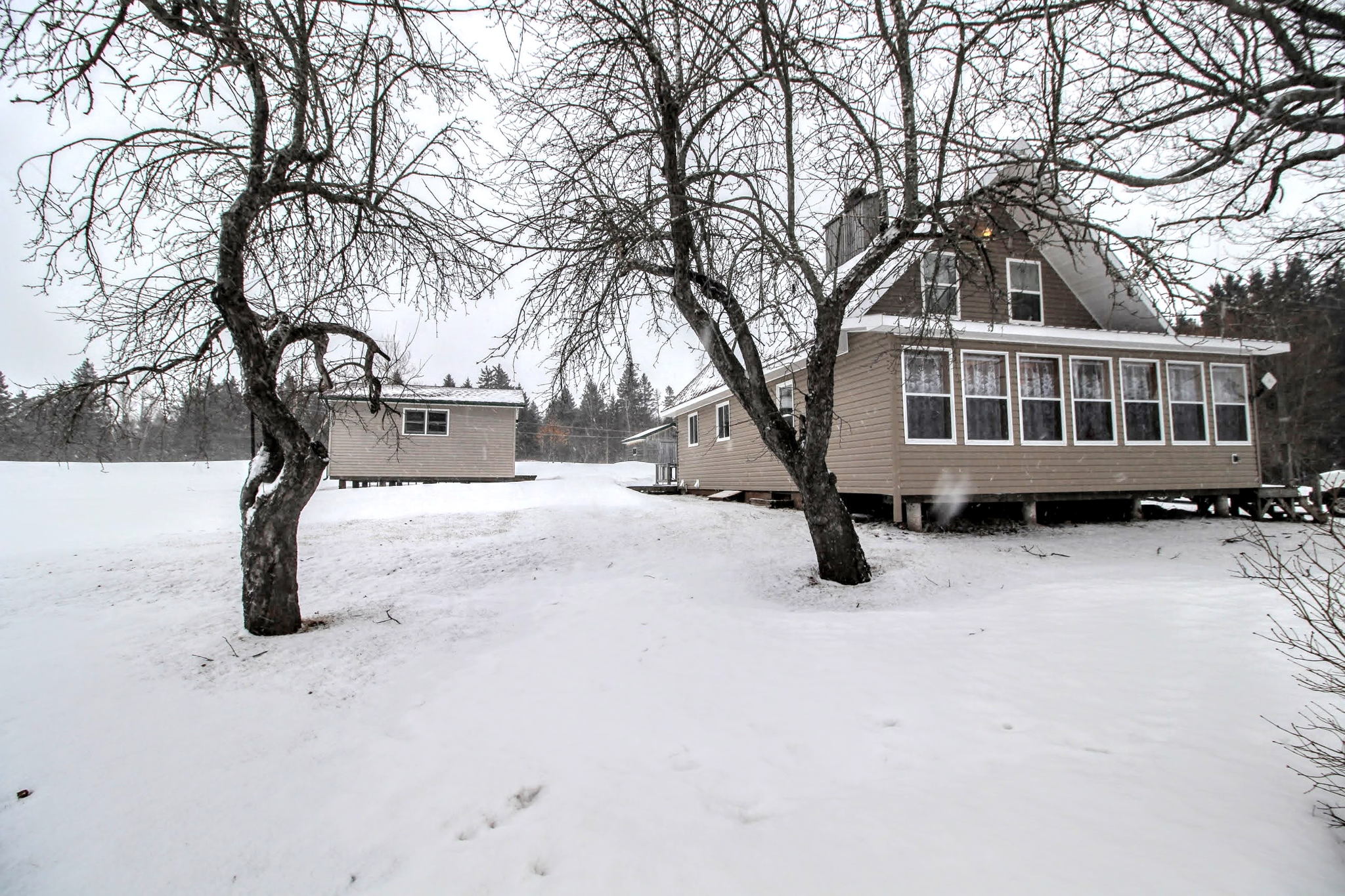  Photo 45