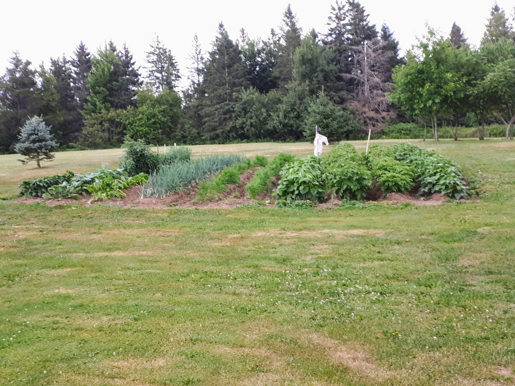  Photo 35