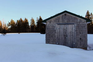 Photo 41