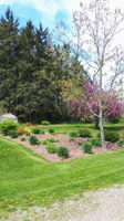 Photo 33
