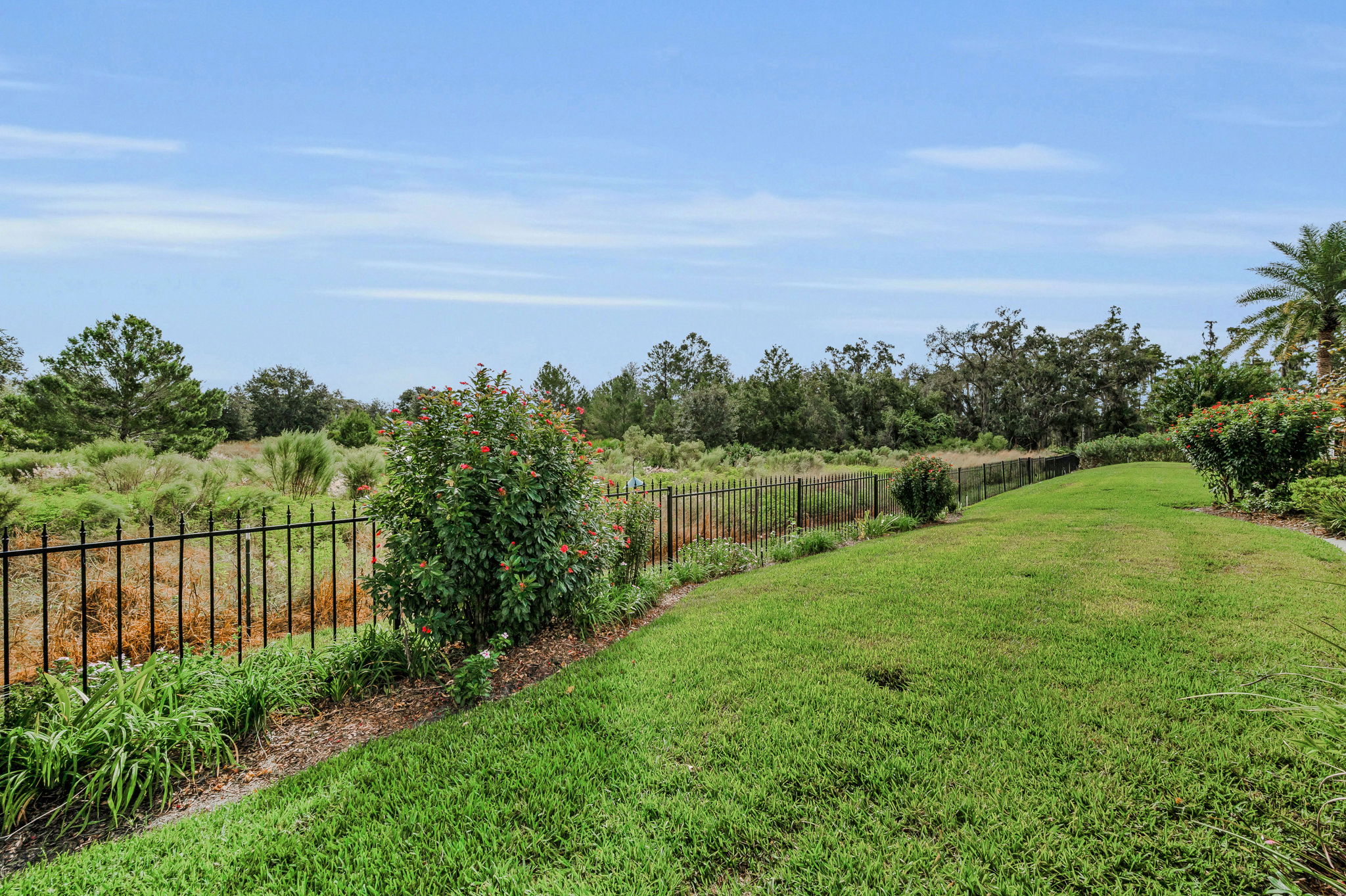 Backyard5