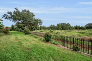 Backyard1