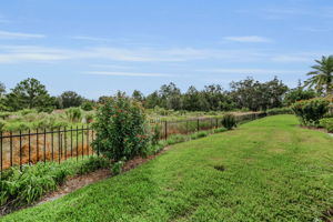 Backyard5