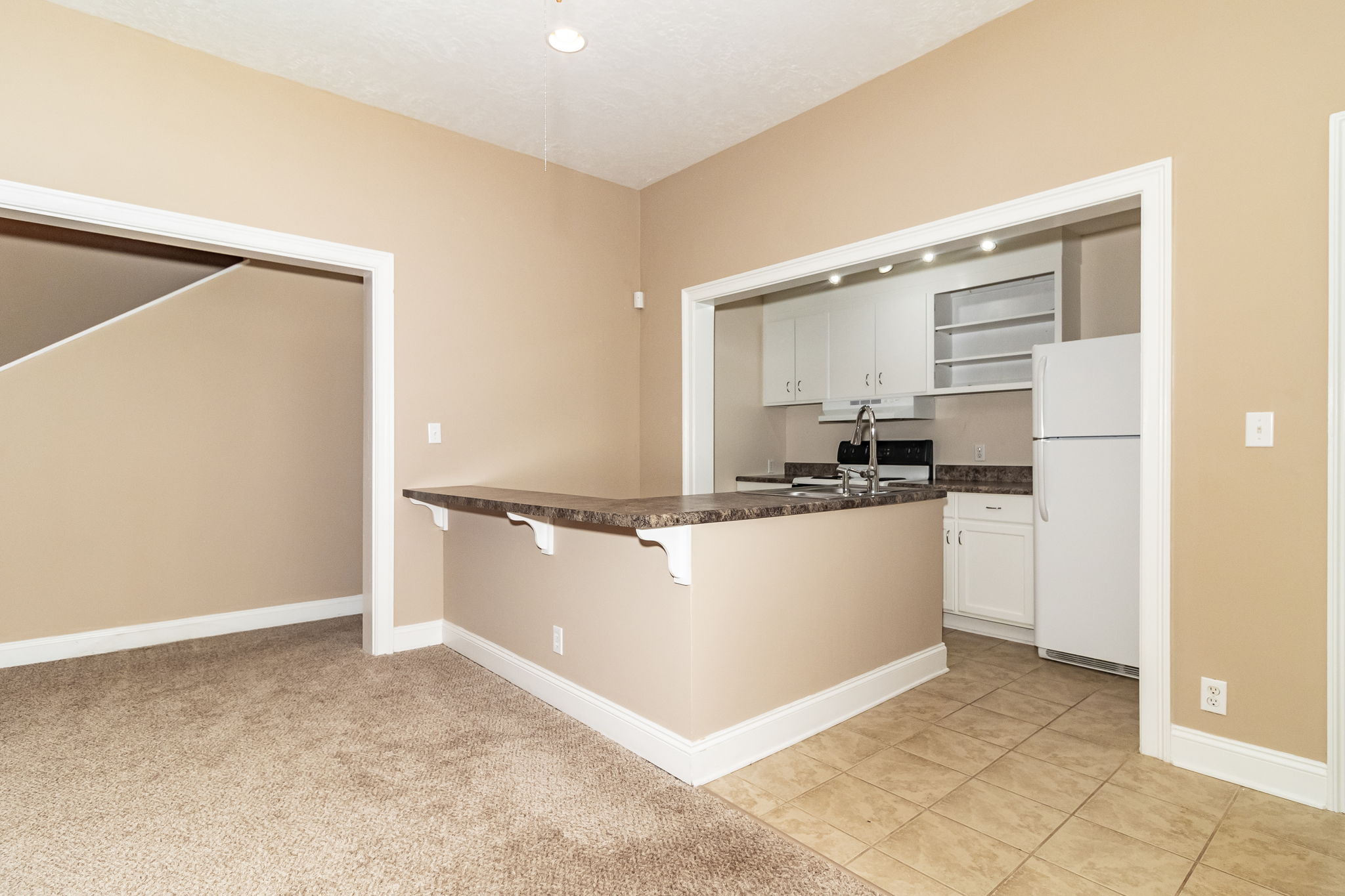 Full Finished Walk Out Basement