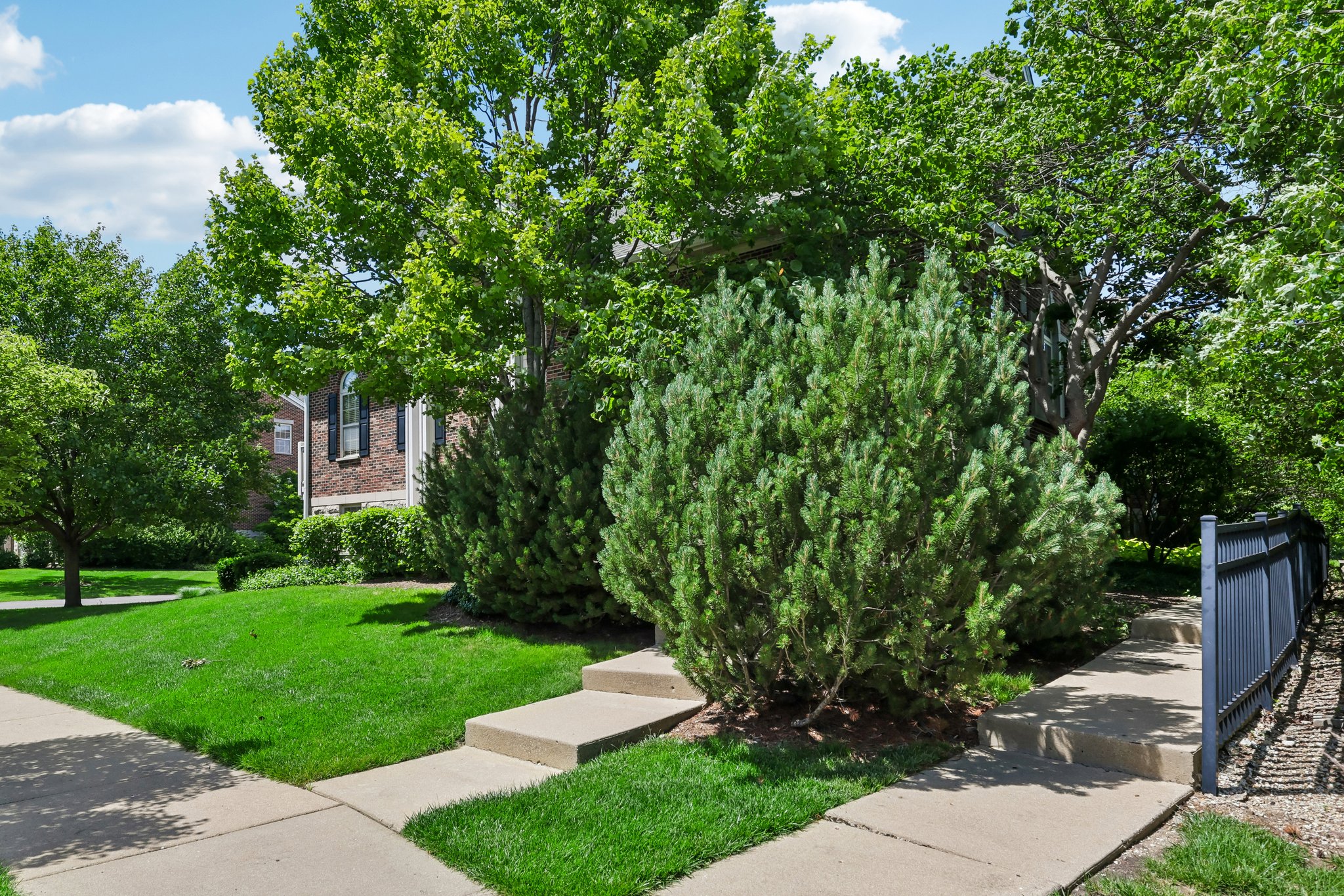 Astor Ln-S1806-002.jpg