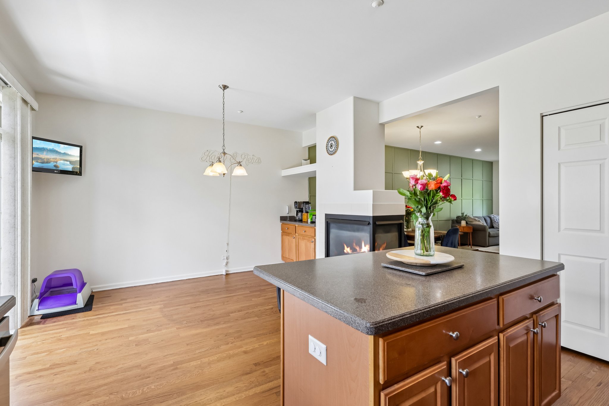 Astor Ln-S1806-011.jpg