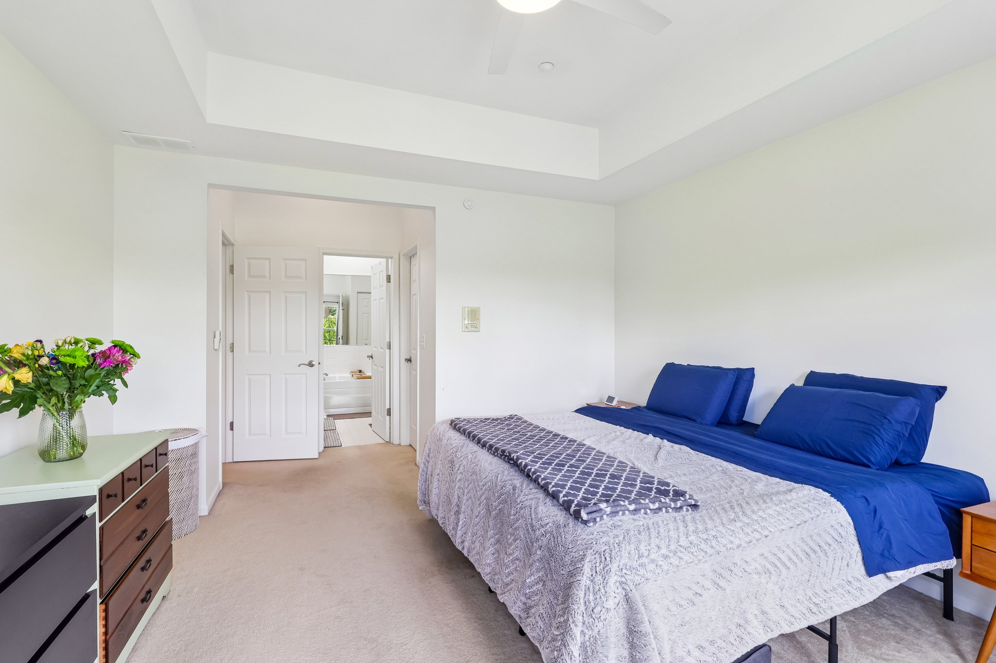 Astor Ln-S1806-029.jpg