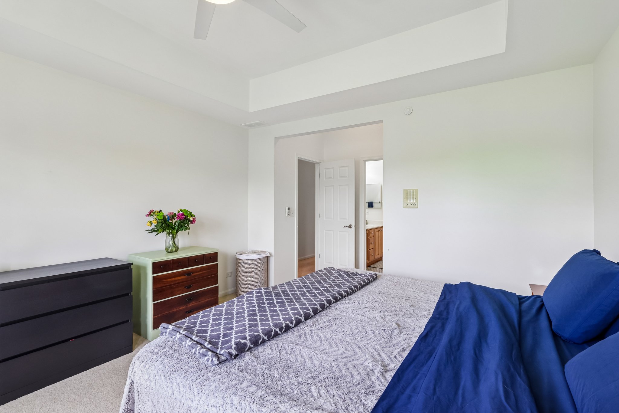 Astor Ln-S1806-030.jpg