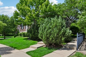 Astor Ln-S1806-002.jpg