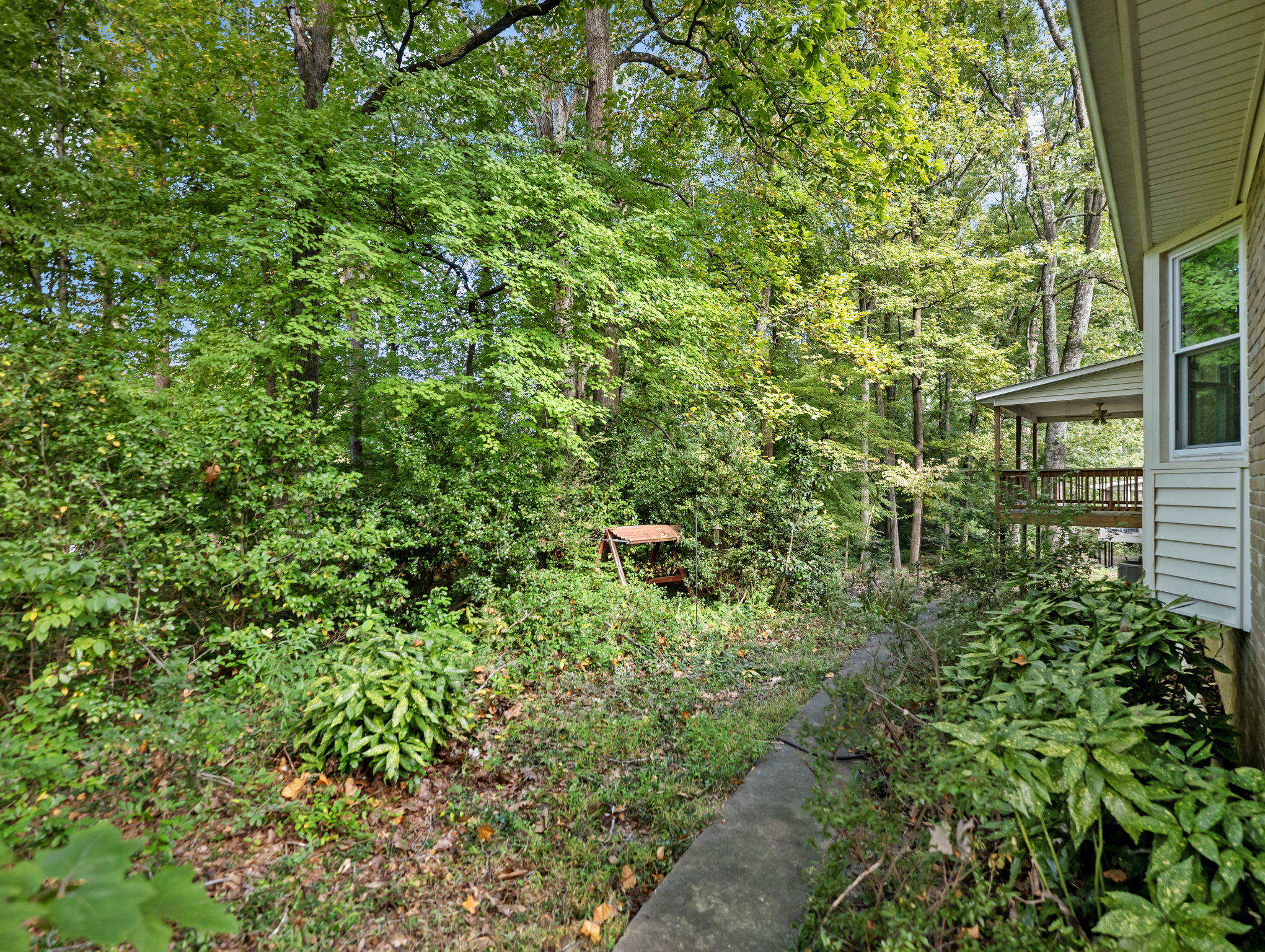  Photo 41