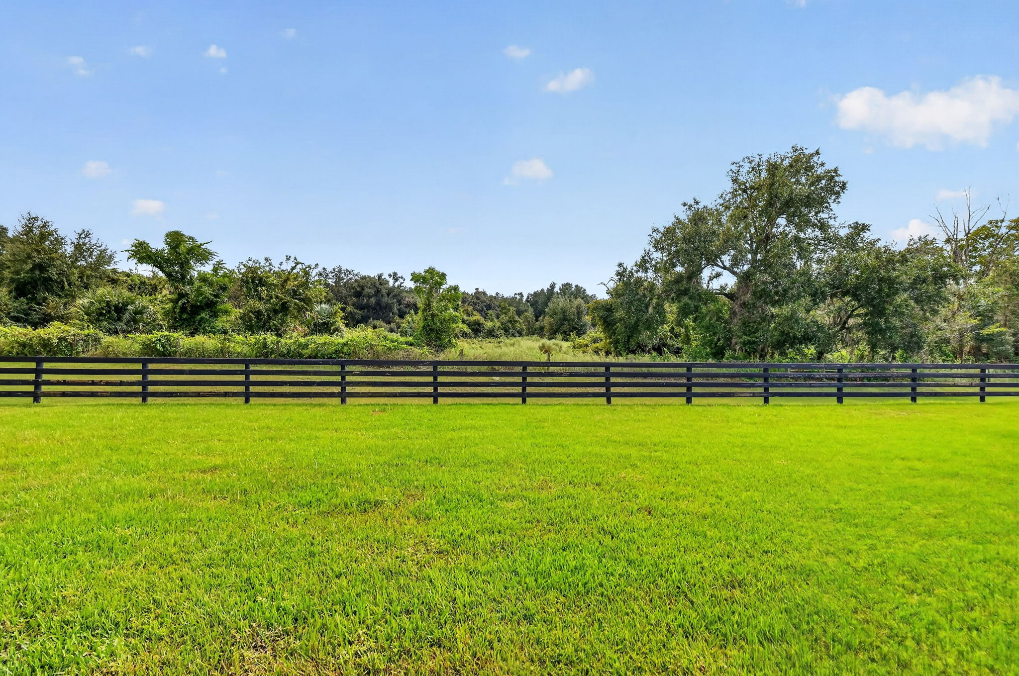 Spacious Rear Yard with PRIVATE PRESERVE VIEWS and ROOM FOR A POOL!