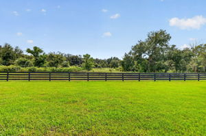 Spacious Rear Yard with PRIVATE PRESERVE VIEWS and ROOM FOR A POOL!