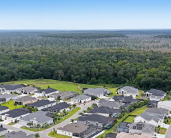 The Enclave @ Dabney with Lake Okahumpka  Preserve