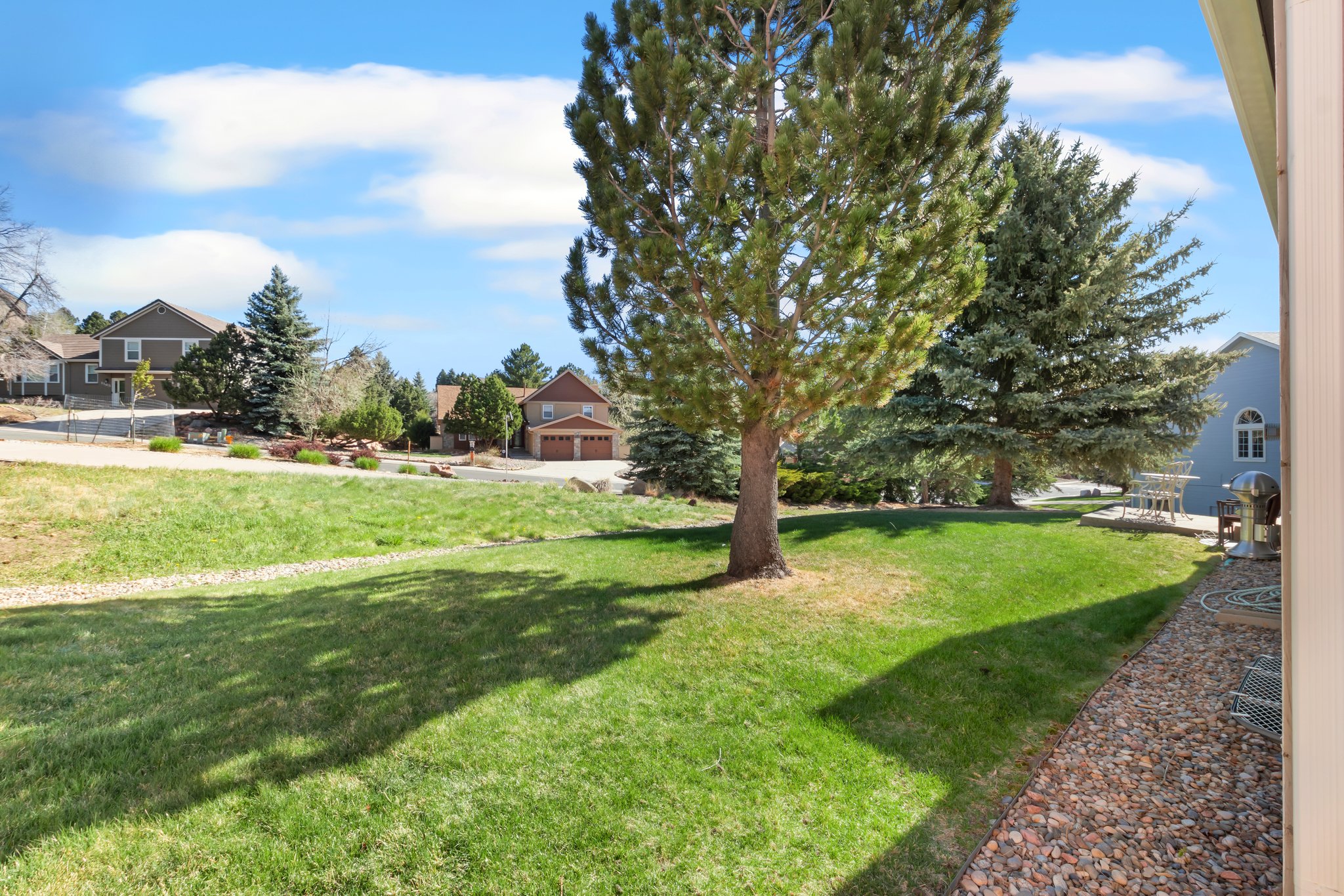 Yard