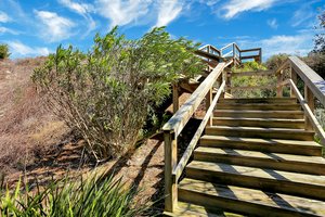 Spyglass