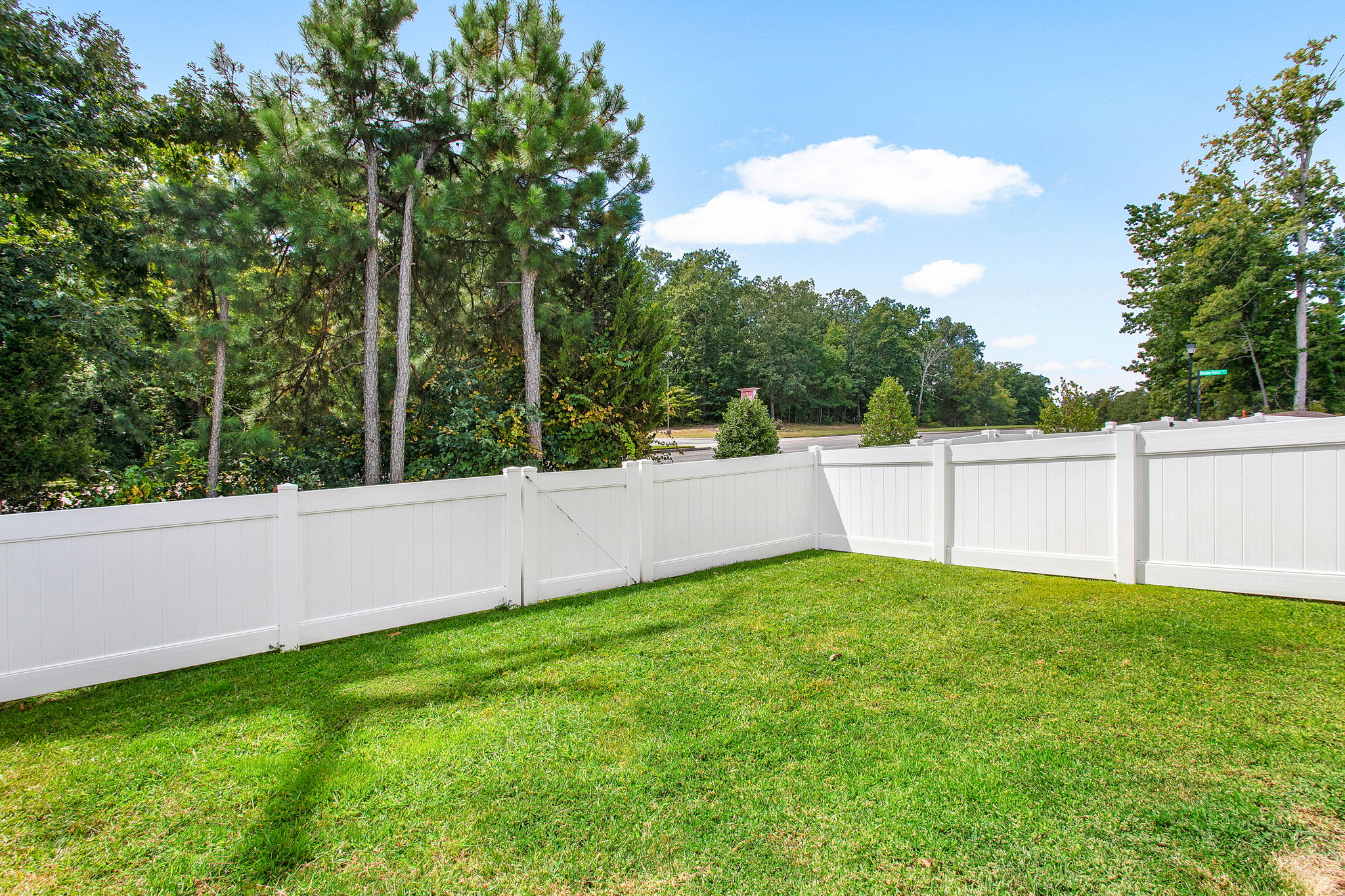 26-Backyard