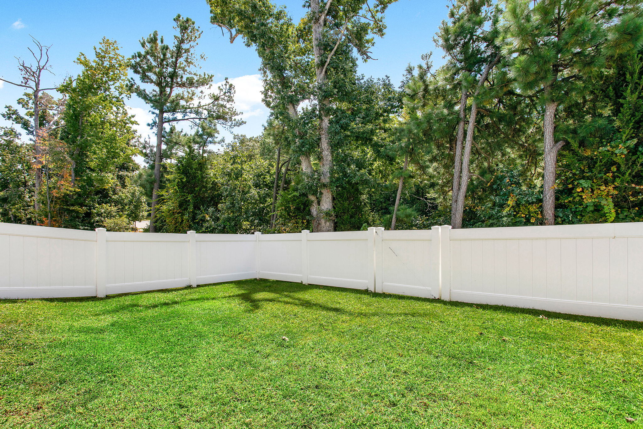 27-Backyard