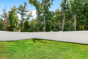 27-Backyard