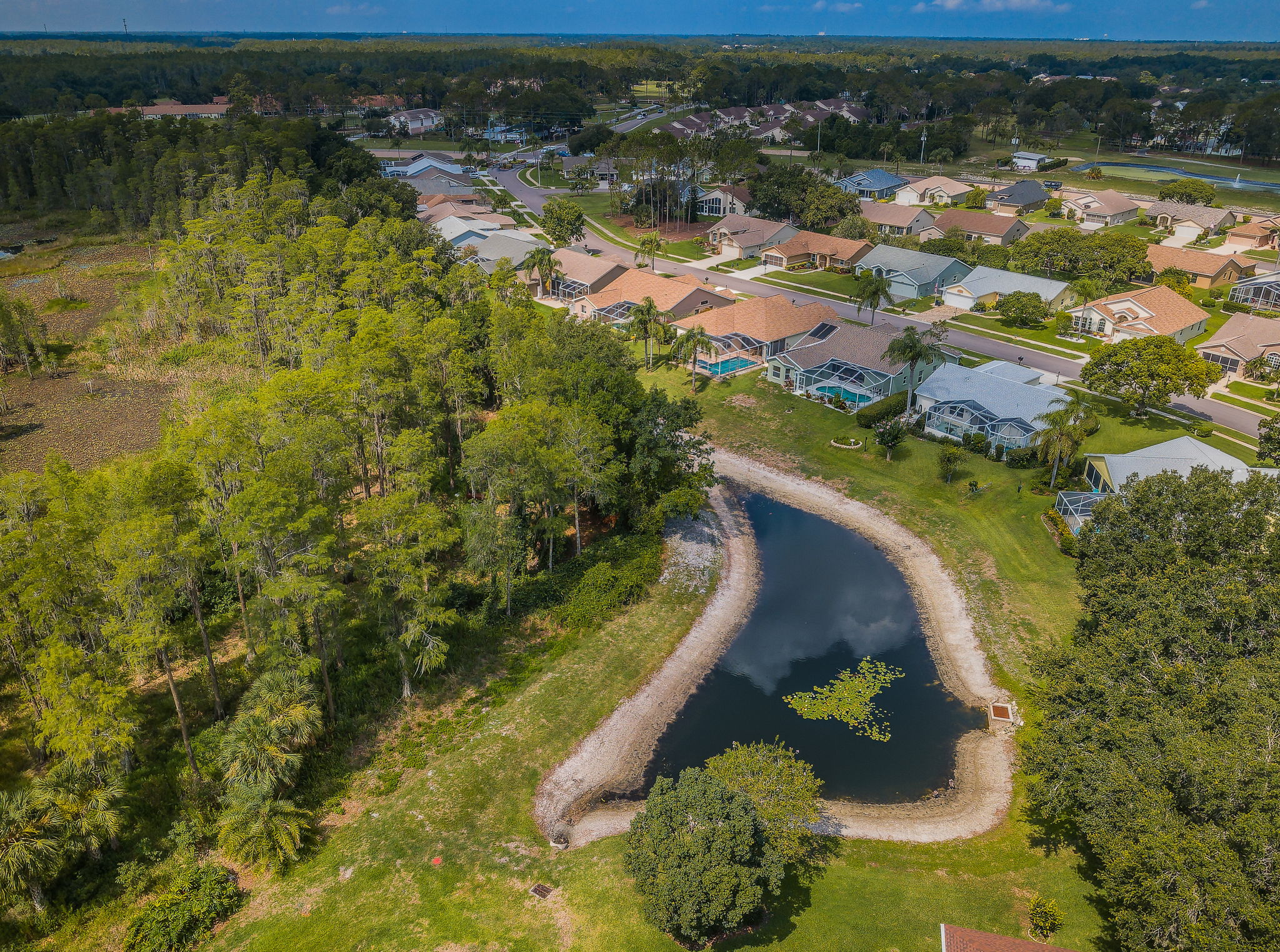 Aerial (14)
