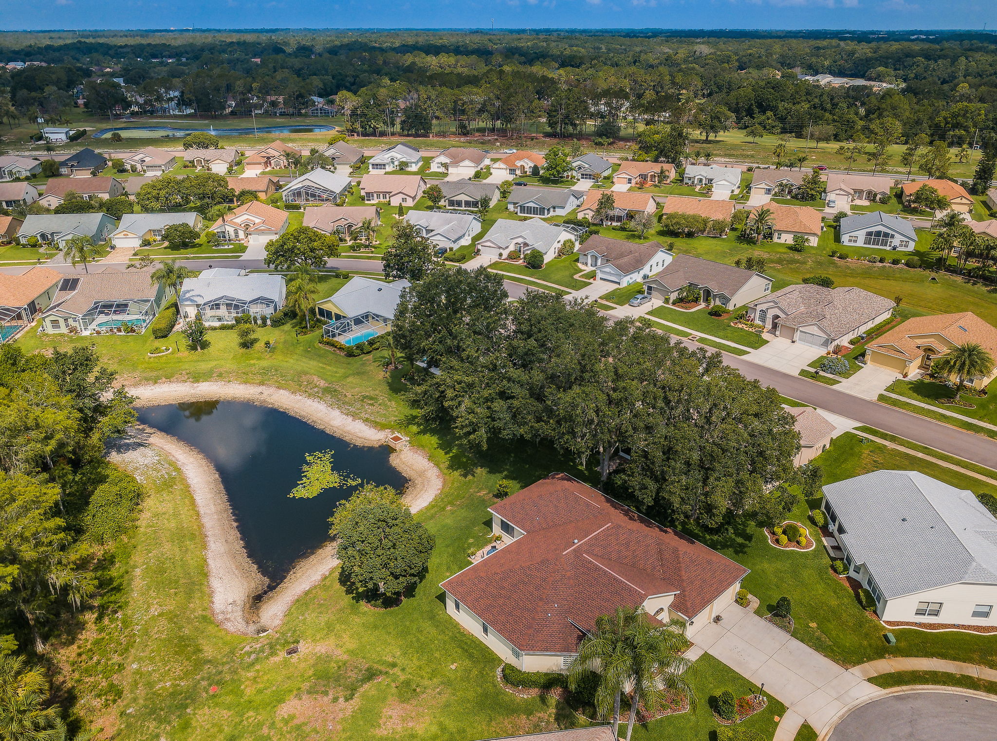 Aerial (12)