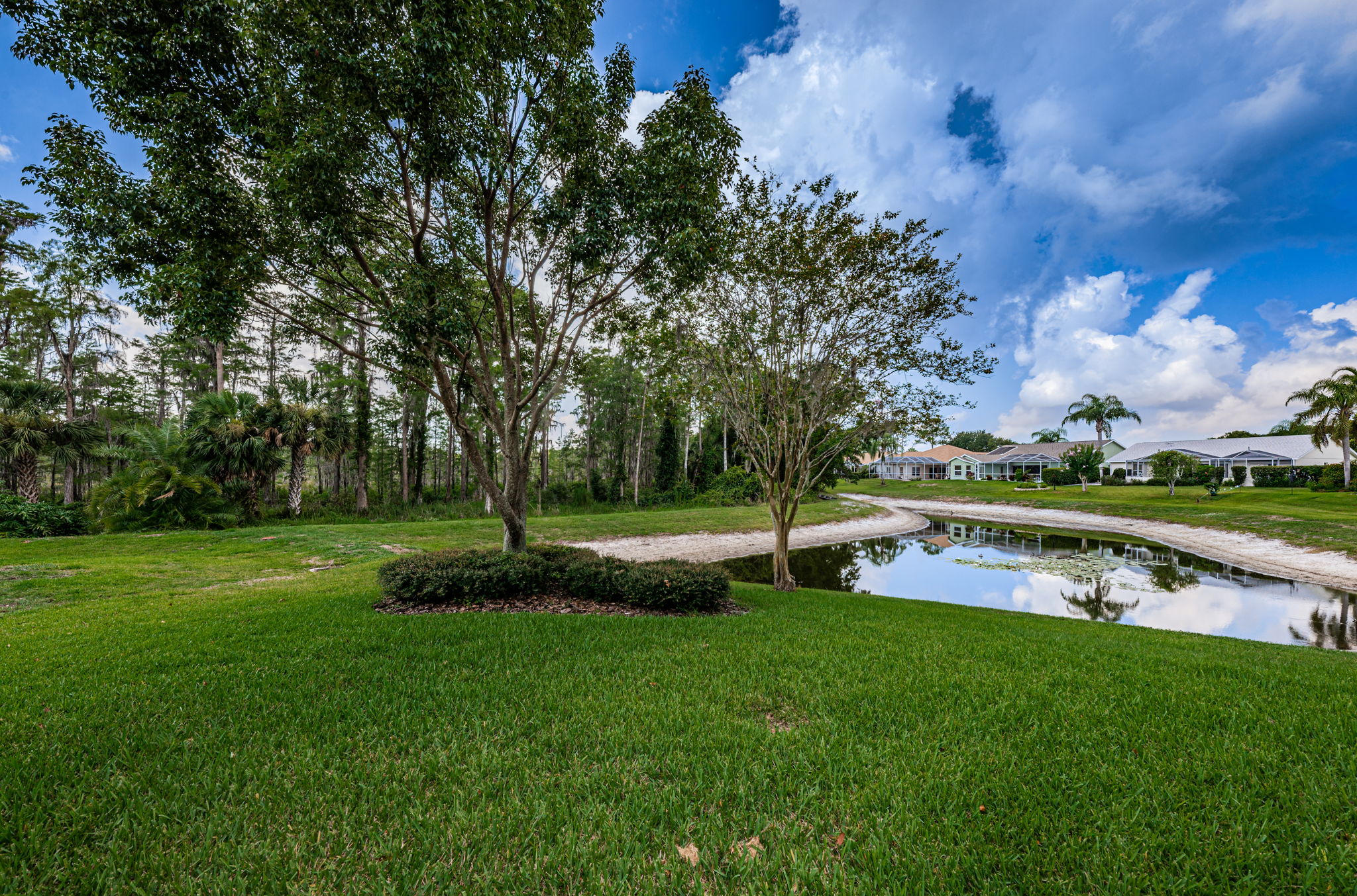 Backyard2