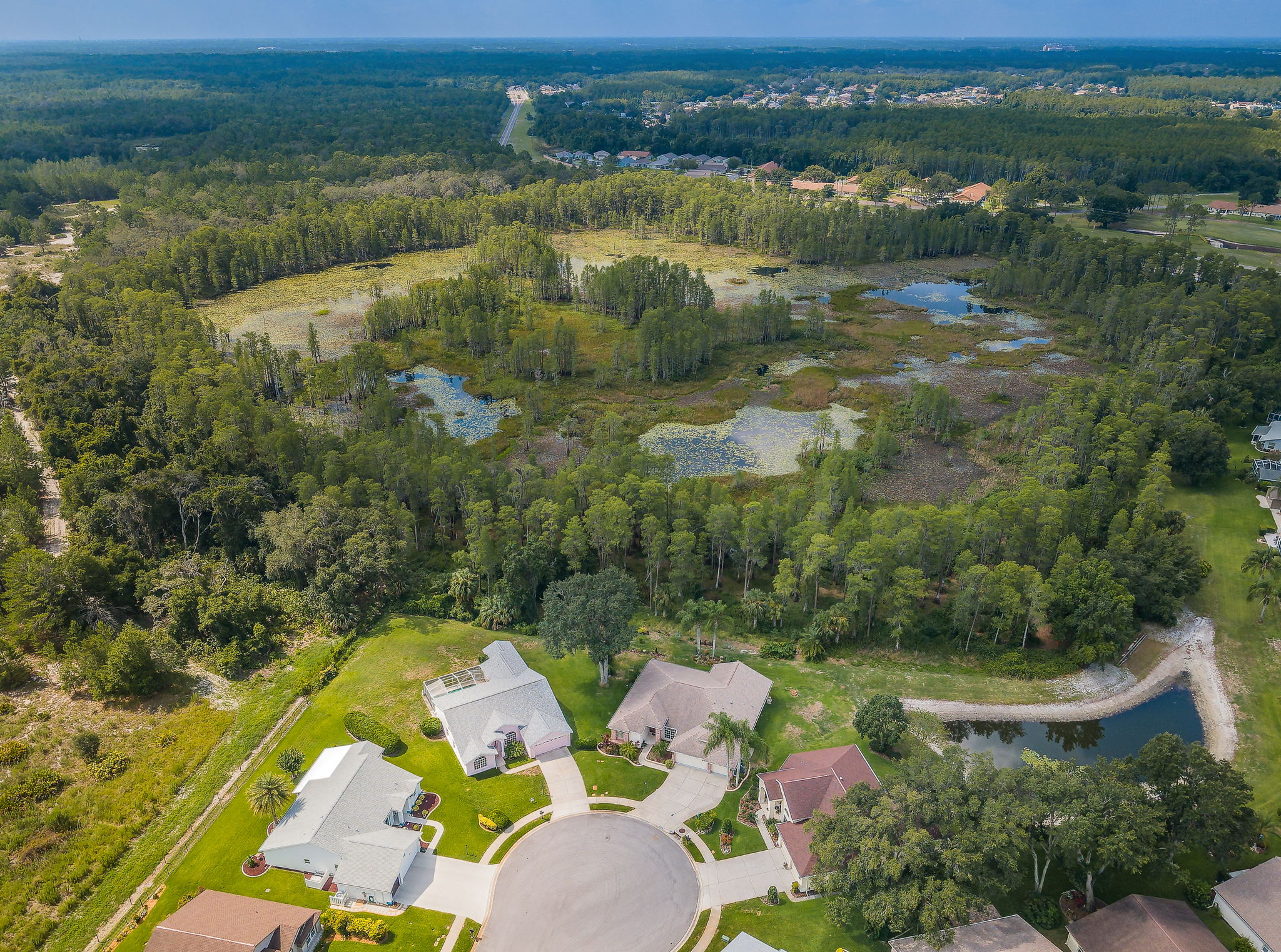 Aerial (7)