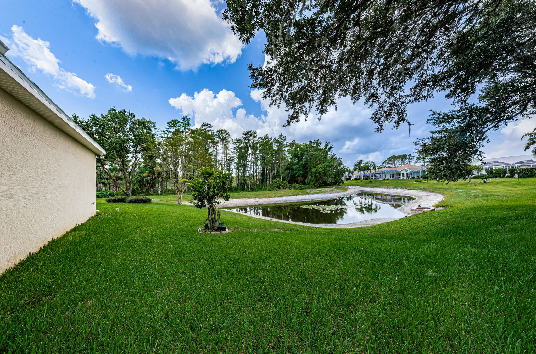 Backyard3