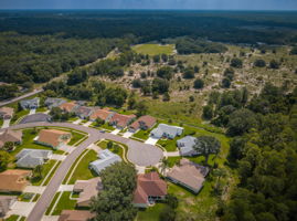 Aerial (8)