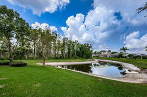 Backyard6