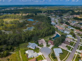 Aerial (6)