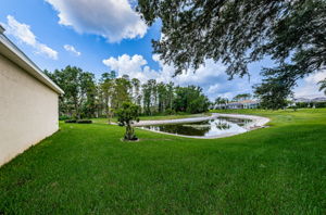 Backyard3