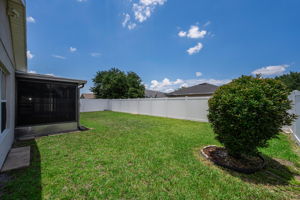 Backyard 5