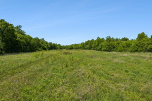  Photo 0