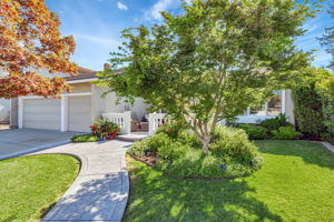 003_ 6555 Timberview Dr  San Jose