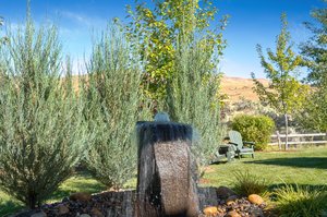 Water Feature