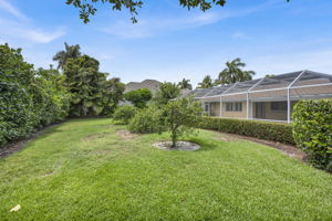 Backyard - Rear View 2