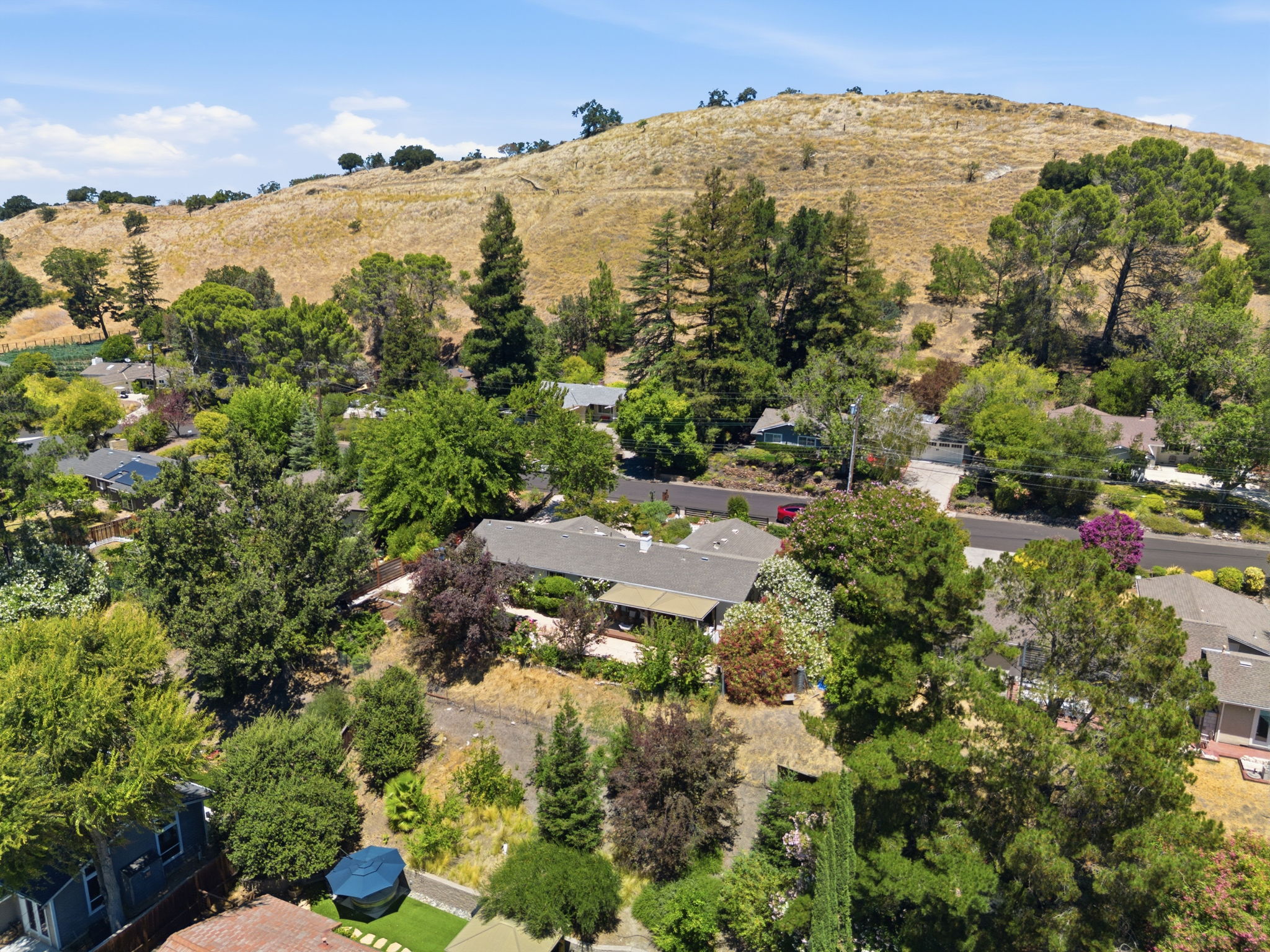  Photo 57