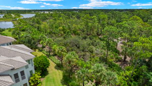 Private Nature Preserve Views