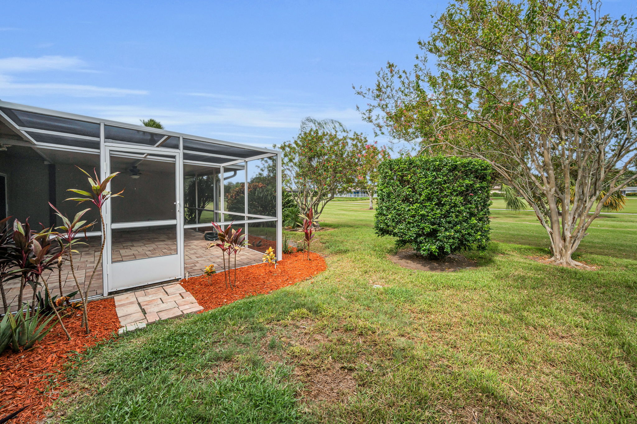 Backyard2