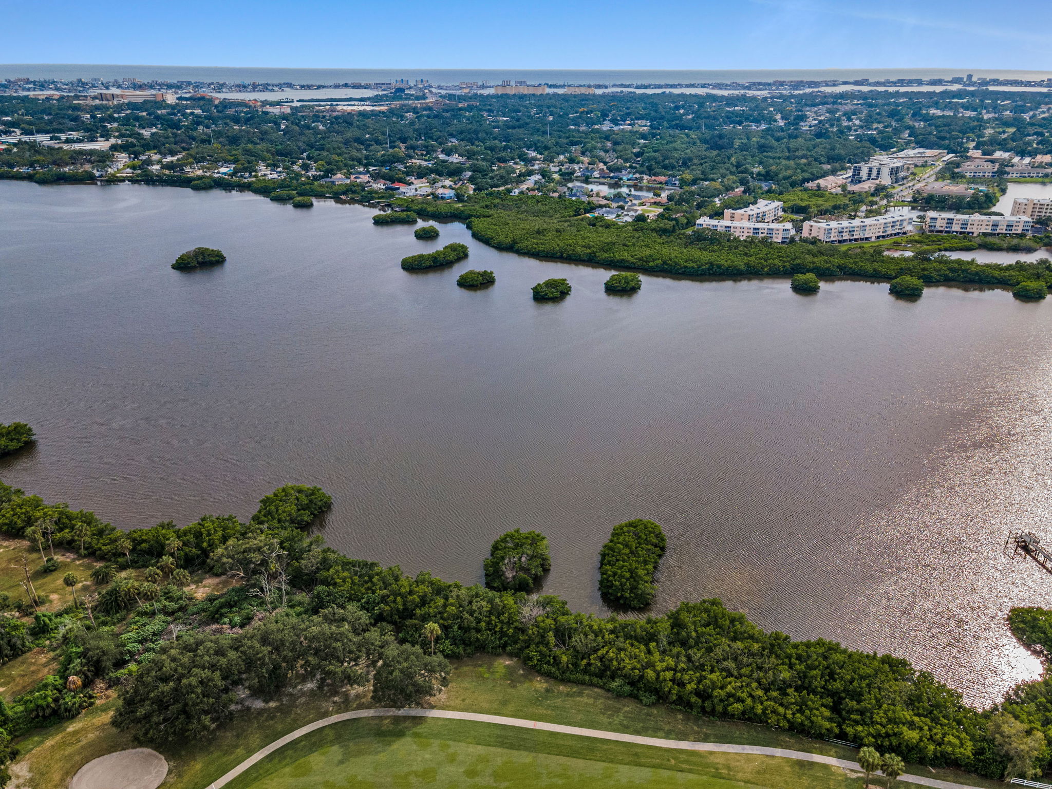 Aerial (17)