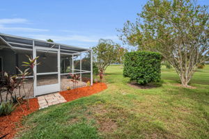 Backyard2