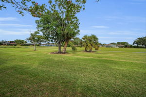 Backyard4