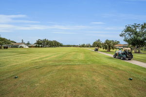 Golf Course1