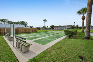 20-Shuffleboard