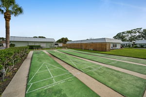 21-Shuffleboard