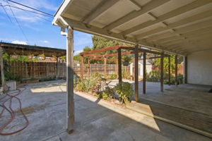  Photo 41